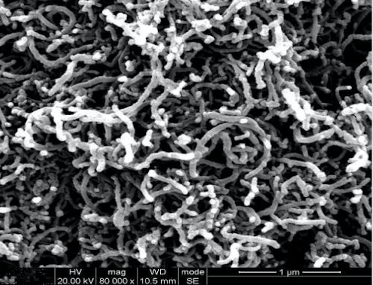 SEM Image of ACS Material Graphitized MWNTs (Length <10 μm)