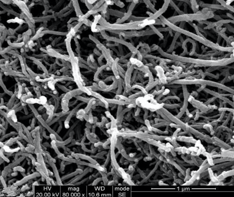 SEM Image of ACS Material Graphitized MWNTs (Length <10 μm)