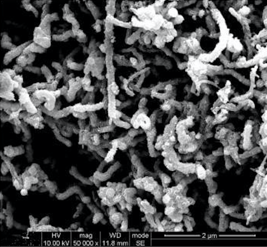 SEM Image of ACS Material Ni Coated MWNTs