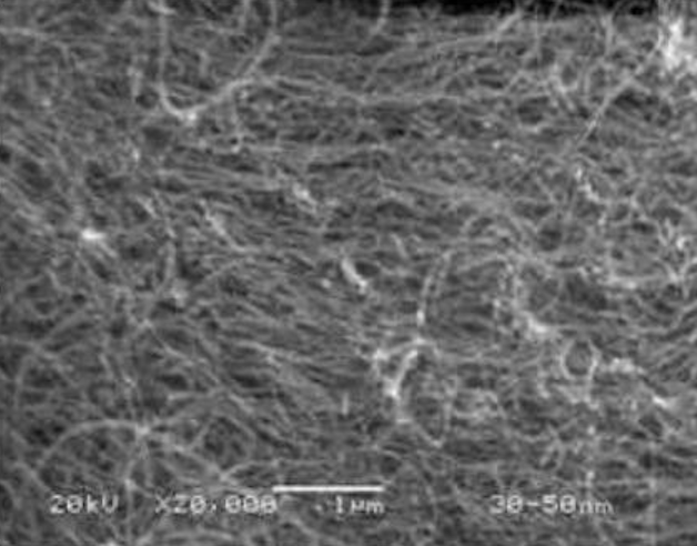 SEM Purified Carboxylic MWNTs (OD:30-50nm)