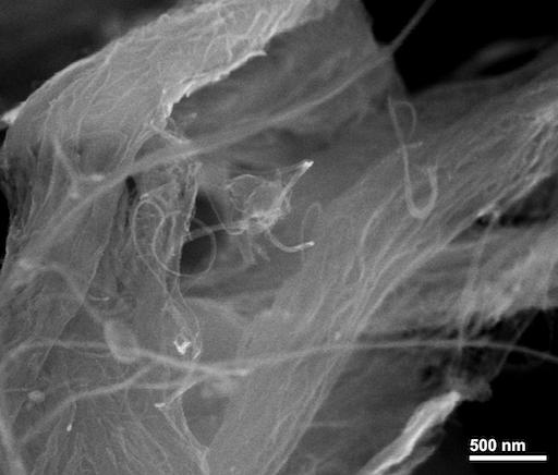SEM Image of ACS Material Purified Amio SWNTs (Length = 5-30 μm)