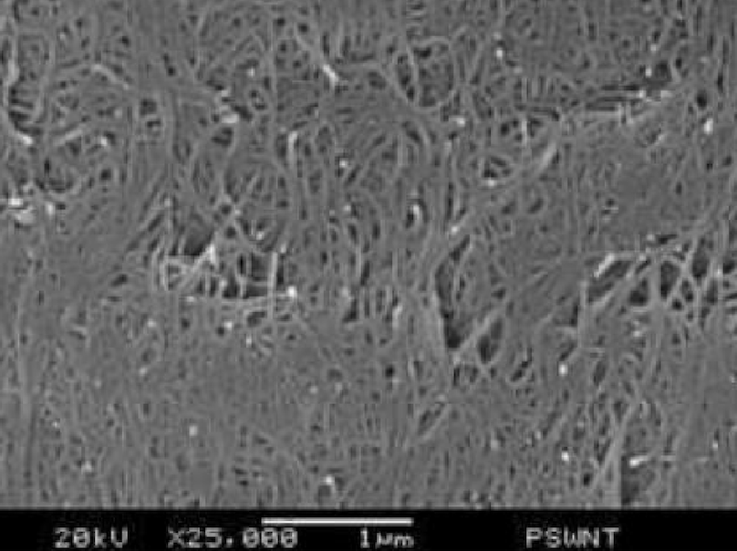 SEM Image of ACS Material Purified SWCNTs (Length = 1-3 μm)