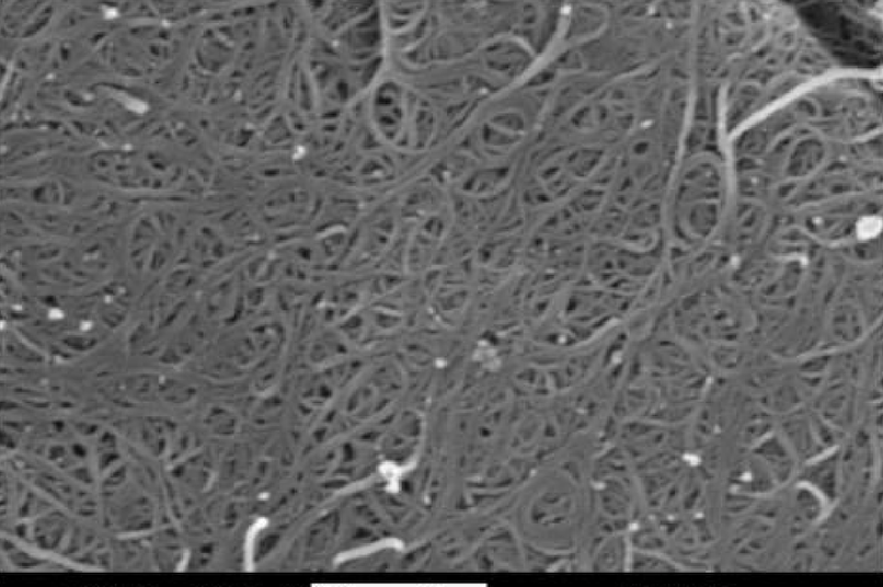SEM Image of ACS Material Purified SWCNTs-OH (Length = 5-30 μm)