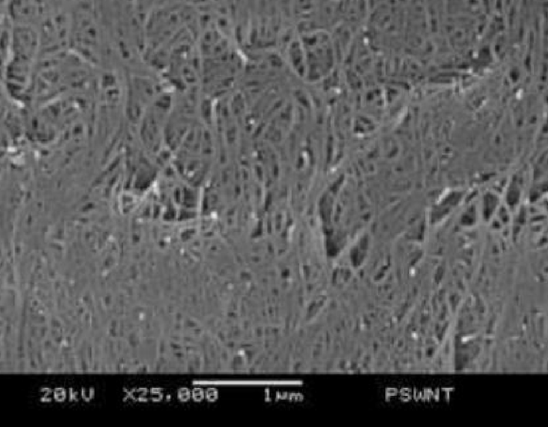 SEM Image of ACS Material Purified SWCNTs-COOH (Length = 5-30 μm)