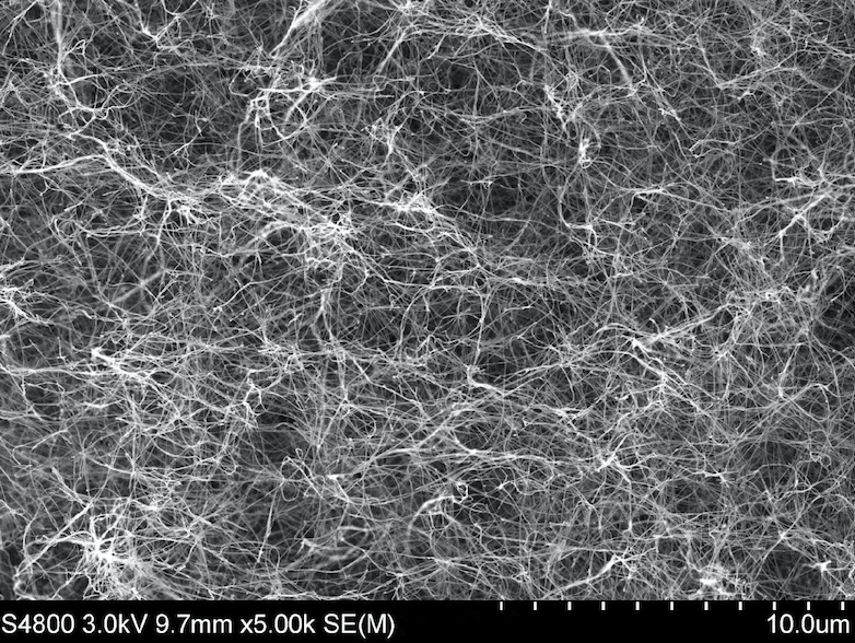 SEM Image (01) of ACS Material Carbon Nanotube Sponges