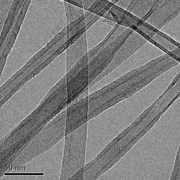 TEM Image (01) of ACS Material Carbon Nanotube Sponges