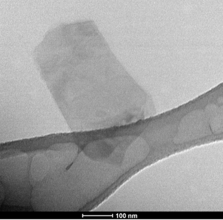 TEM BioMoS2 TEM BioMoS2
