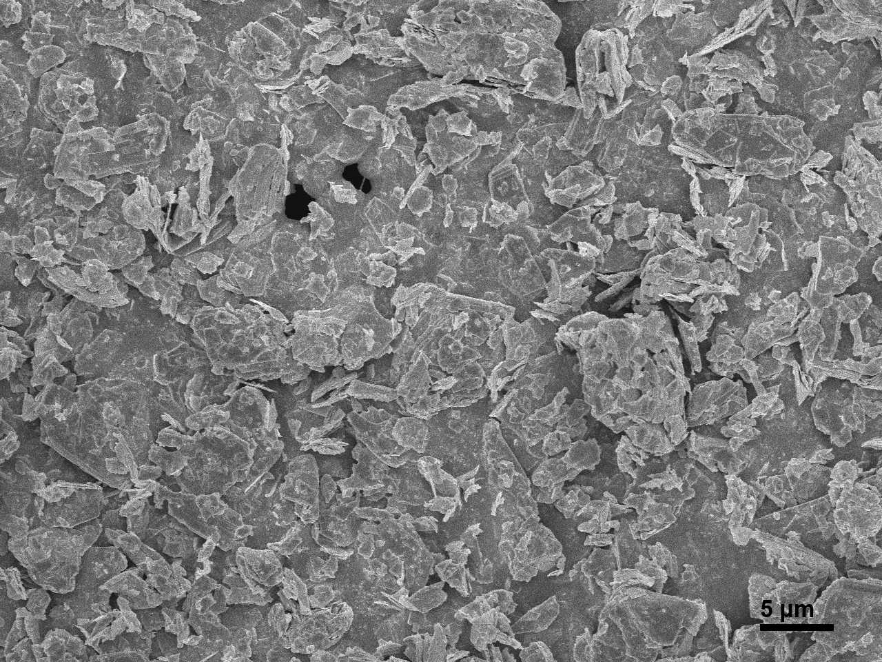 Typical SEM Images of ACS Material MoS2 Powder 1.5um