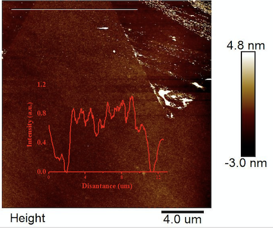 Typical AFM of ACS Material Monolayer MoS2 on SiO2 (20-50μm)