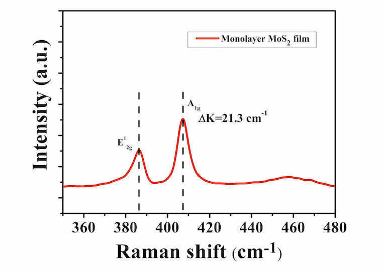 Typical Raman of ACS Material Monolayer MoS2 Film on SiO2/Sapphire (8mm x 8mm)