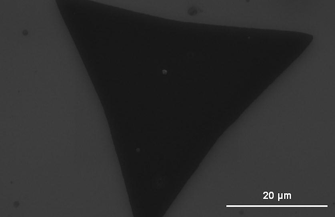 Typical SEM Image (1) of ACS Material Monolayer MoS2 on SiO2 (20-50μm)