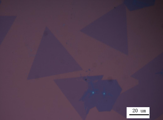 Typical Microscope Image (2) of ACS Material Monolayer WS2 on SiO2 (20-50μm)