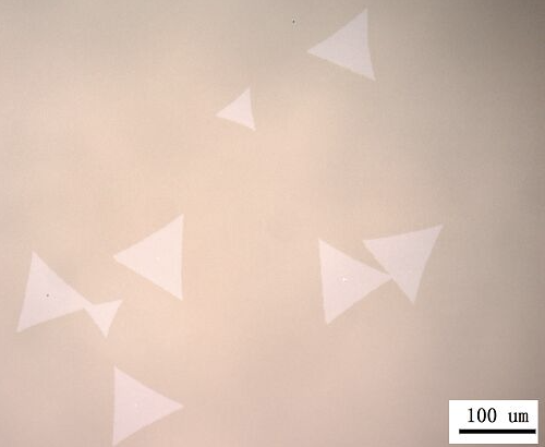 Typical Microscope Image of ACS Material Monolayer WSe2 on SiO2 (20-50μm)