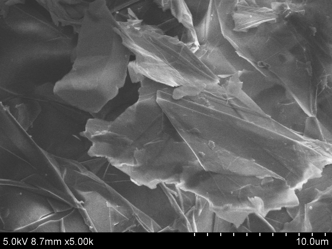 TEM-ACS Material-Fluorinated Graphene (Type B)