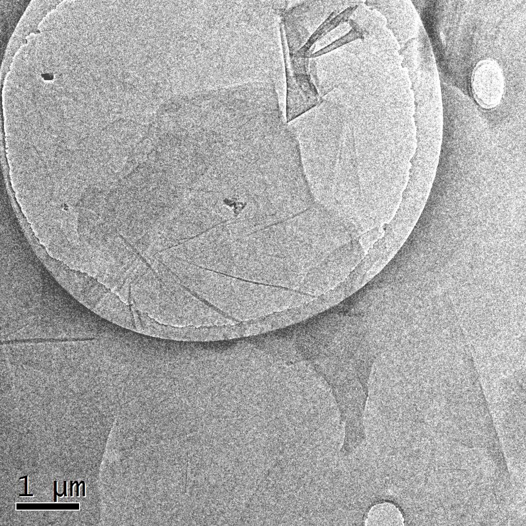 Typical TEM Image (1) of ACS Material Single Layer Graphene Oxide Powder (H Method)