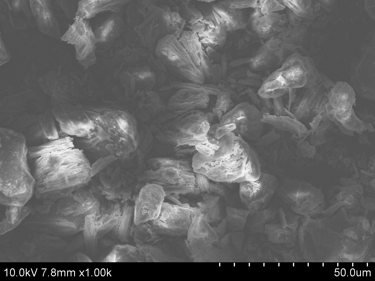 SEM-ACS Material Graphite Fluoride (Synthetic/Artificial graphite)