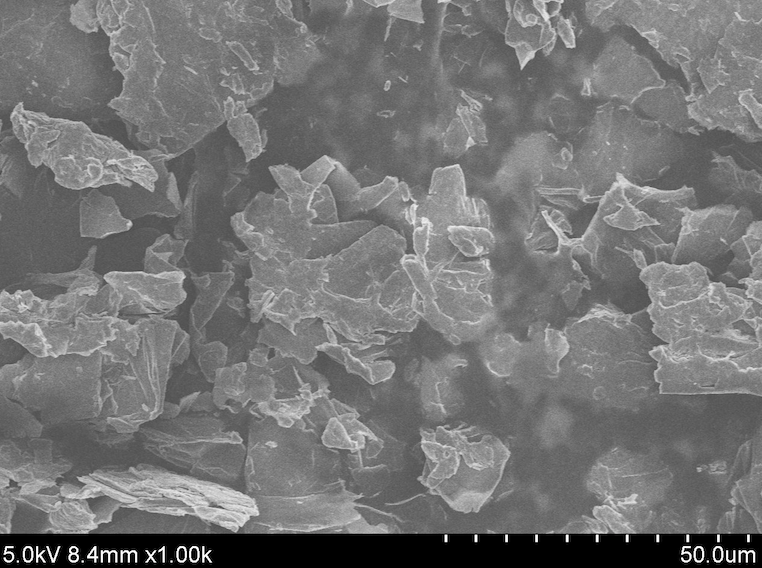 SEM Large Size Graphite Oxide