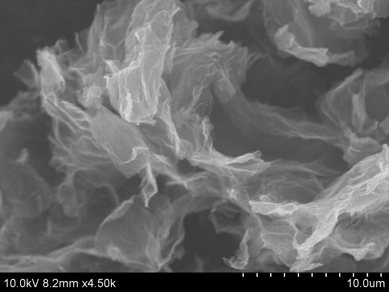 Hydroxyl Functionalized Graphene-SEM