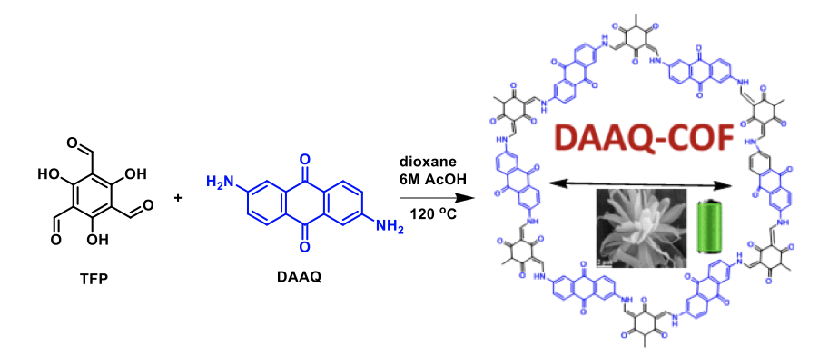 DAAQ_TFP_COF_Flowchart