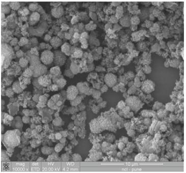 Typical SEM Image (1) of ACS Material COF-TpPa-1