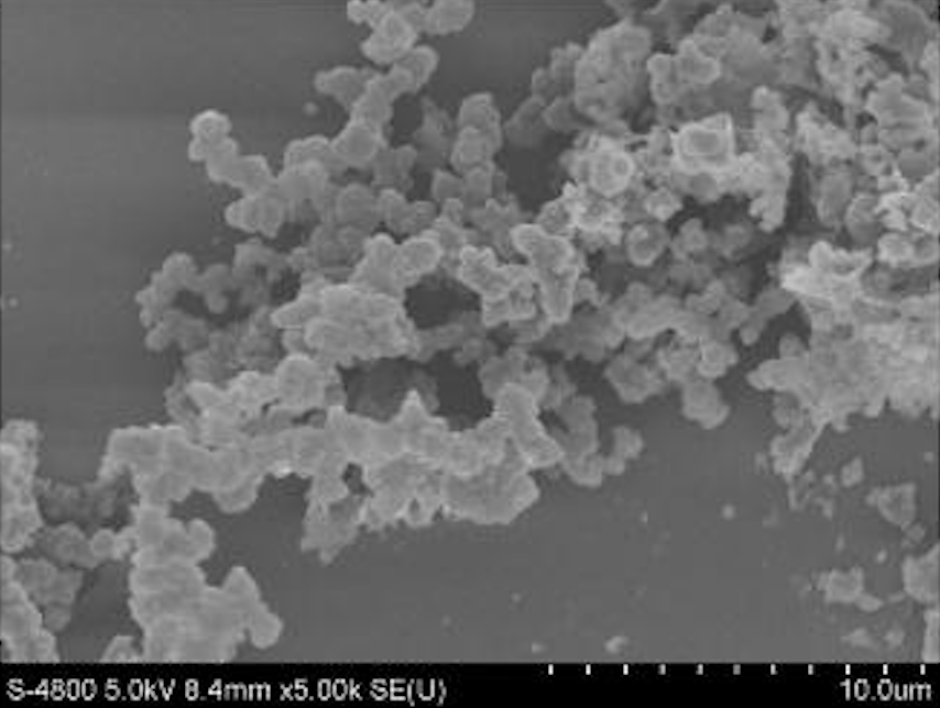 Typical SEM Image of ACS Material COF-LZU1