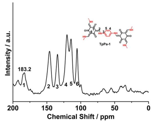 SsNMR Spectra of ACS Material COF-TpPa-1