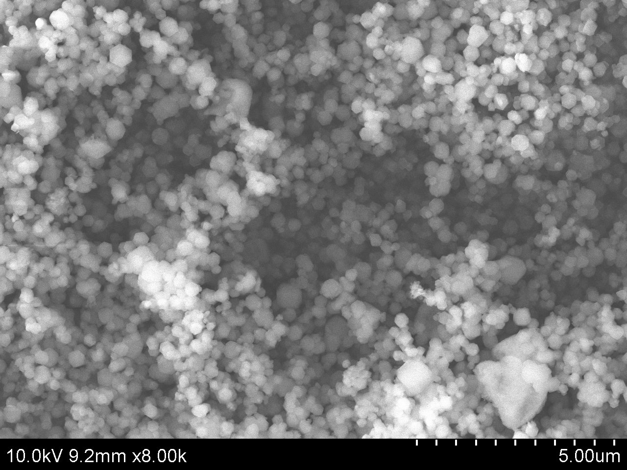 ACS Material SEM-ZIF-67