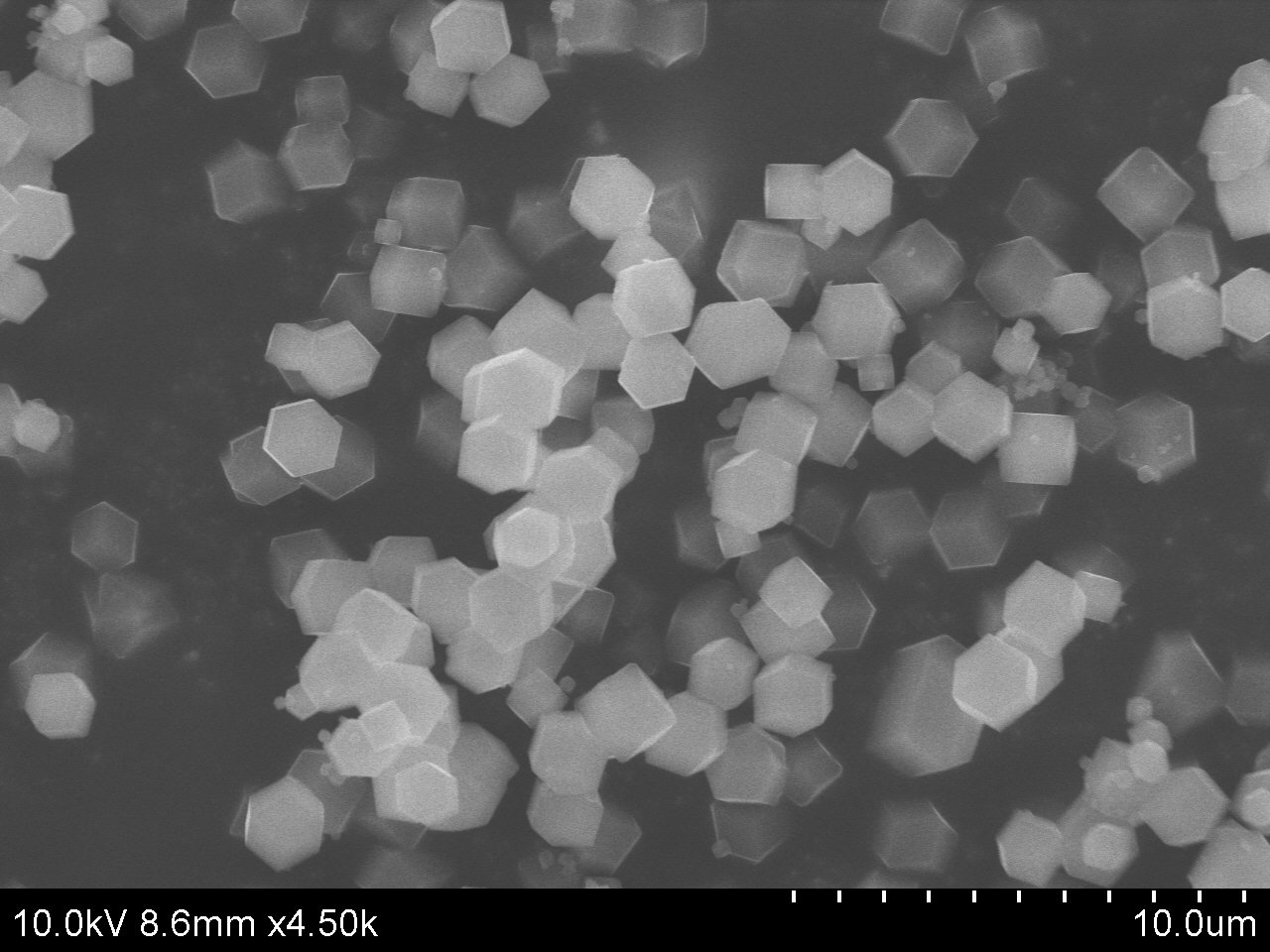 ACS Material SEM-ZIF-67-Type B