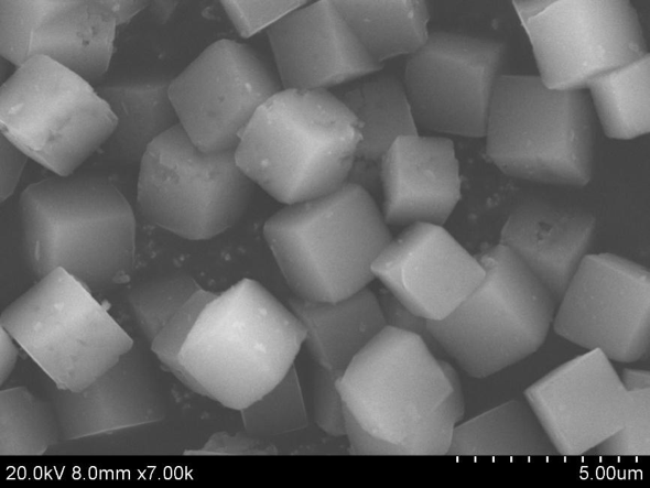 Typical SEM Image of ACS Material SSZ-13 (Type C)