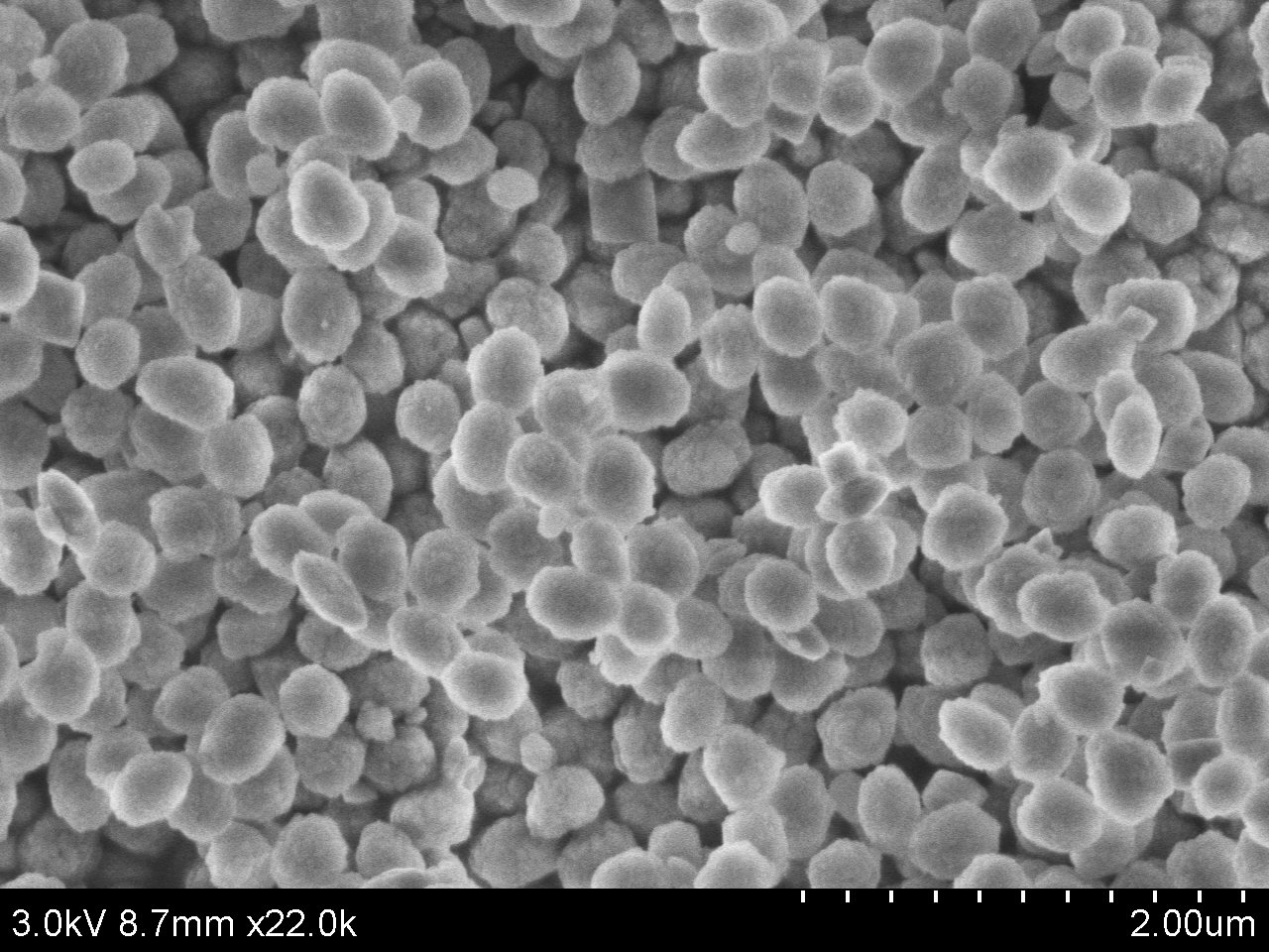 Typical SEM Image (1) of ACS Material TS-1 (Type A)
