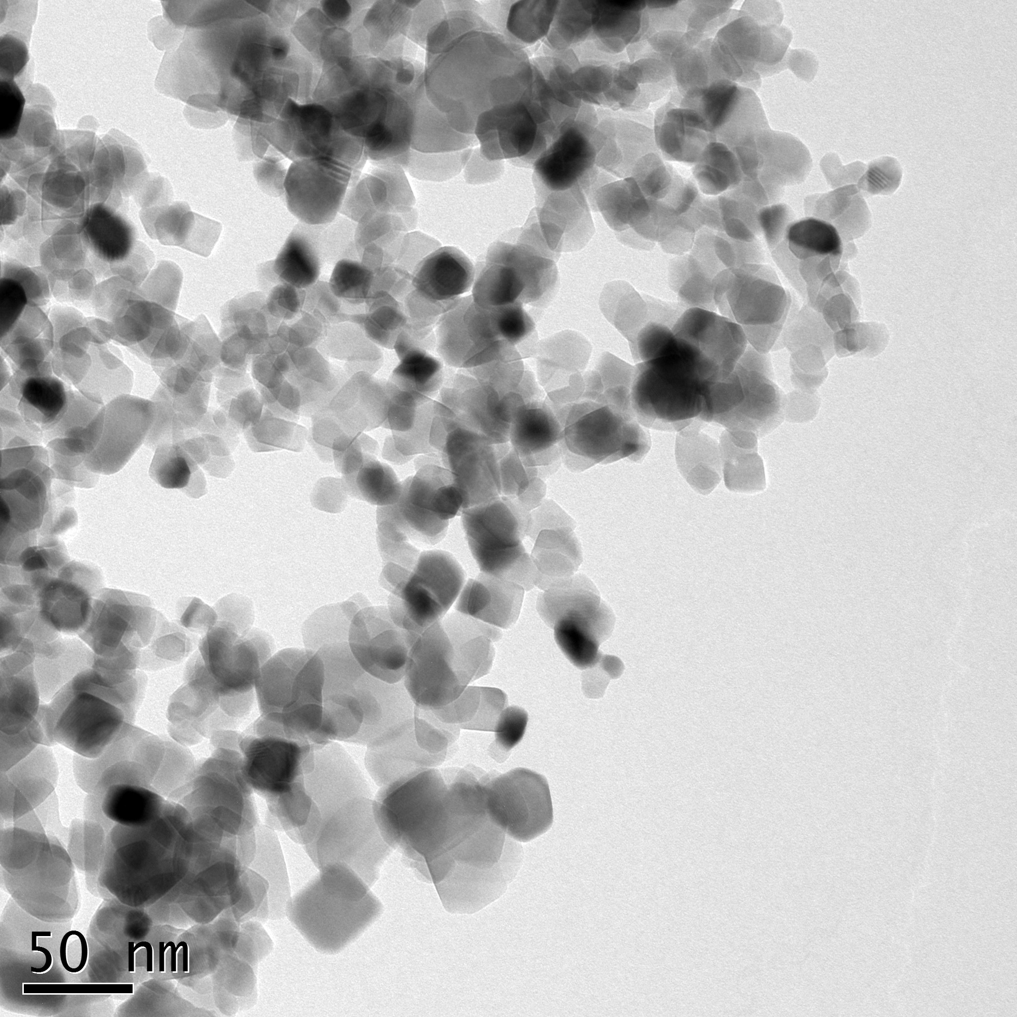 Typical TEM Image of ACS Material TiO2 