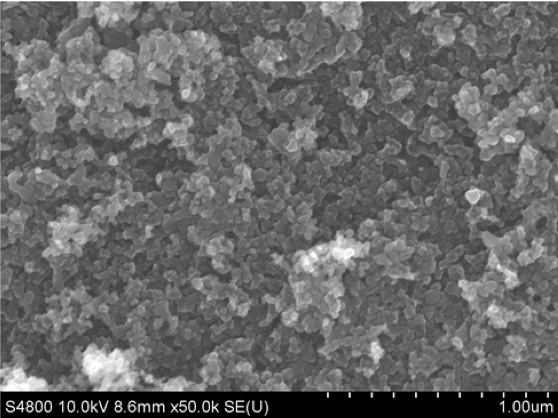 Typical SEM Image of ACS Material Black TiO2-x(1)