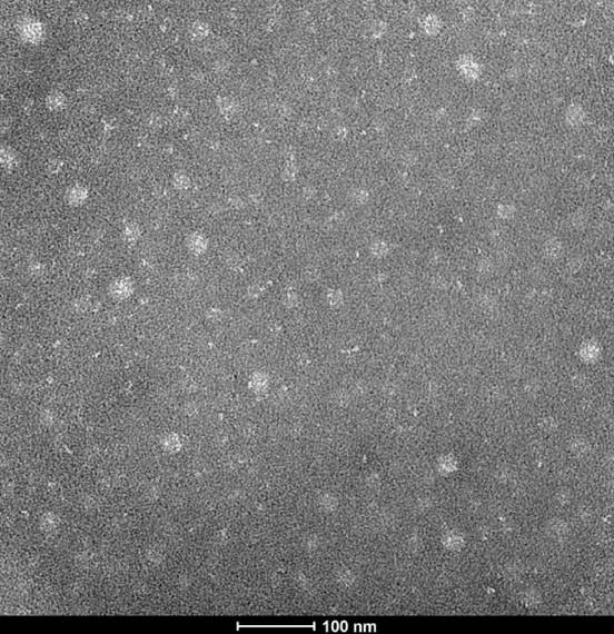 Typical TEM Image of ACS Material FluoDot