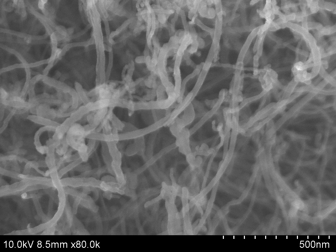Fluorinated Carbon Nanotubes_SEM