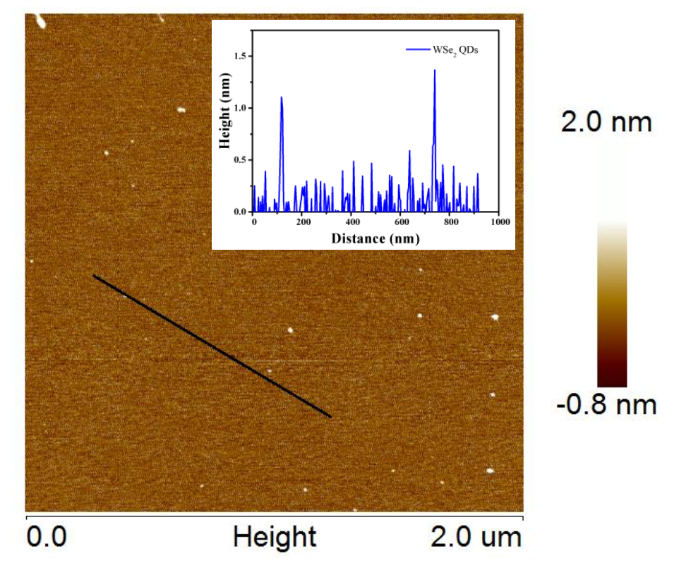 WSe2 Quantum Dots-AFM