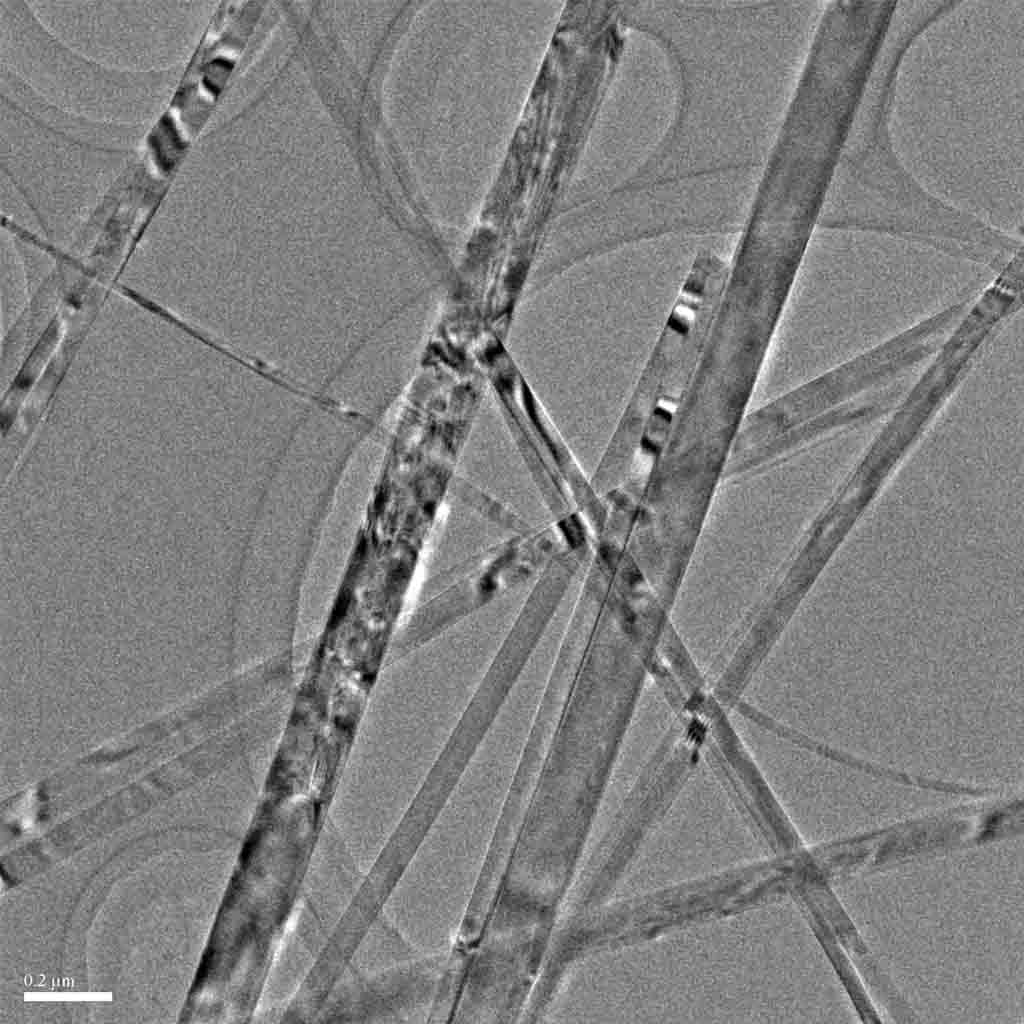 Typical SEM Image of ACS Material TiO2NW-B