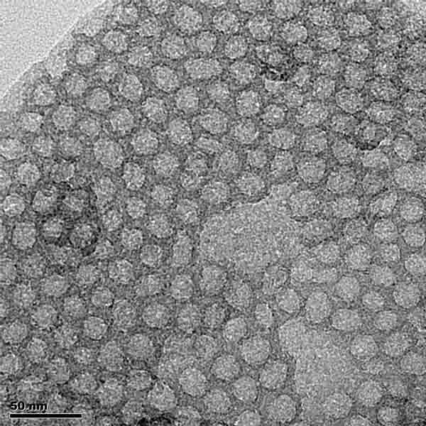 Typical TEM of ACS Material FDU-12