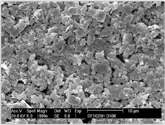 SEM of ACS Material Silver Flake