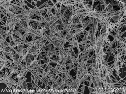 SEM Image of Copper Nanowire in Ethanol -- ACS Material