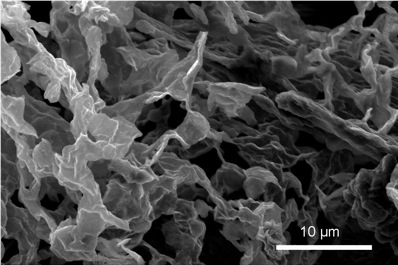 Electronic Properties Of Monolayer Tungsten Disulfide